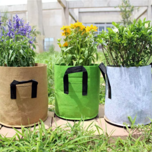 Felt Grow Pot