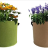 Felt Grow Pot – Bild 2