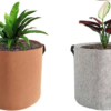 Felt Grow Pot – Bild 3