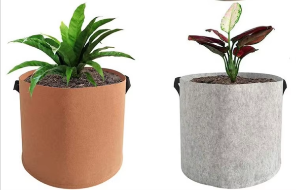 Felt Grow Pot - Image 3